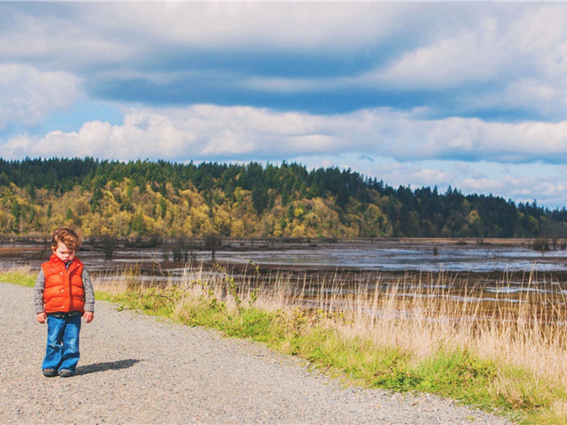 和刘后村梅花百咏·其四○原文注释译文赏析-方蒙仲诗词-宋诗全集
