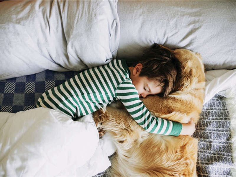 夜意原文注释译文赏析-李复诗词-宋诗全集