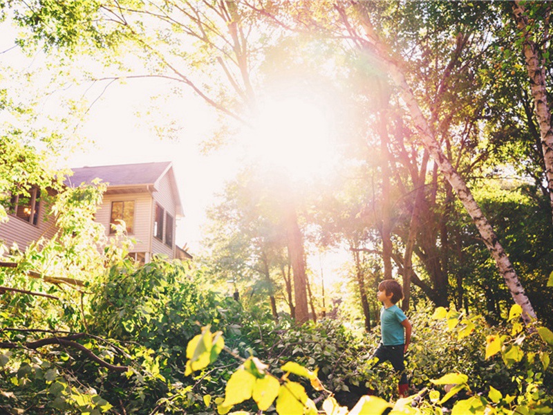 绍兴别庙乐歌五首·奉俎用《肃安》。原文注释译文赏析-郊庙朝会歌辞诗词-宋诗全集