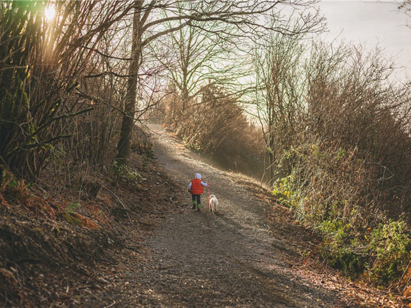 绍兴十四年奉上徽宗册宝三首·上徽号用《显安》。原文注释译文赏析-郊庙朝会歌辞诗词-宋诗全集
