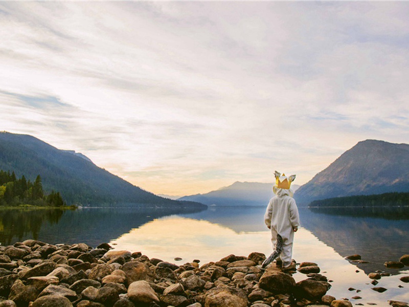 上韩公枢密·其二原文注释译文赏析-李清照诗词-宋诗全集