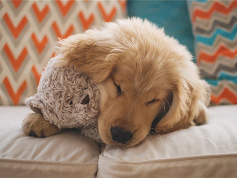 和家叔察院巨鱼诗原文注释译文赏析-李洪诗词-宋诗全集