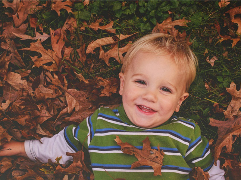 挽邓友梅原文注释译文赏析-陆文圭诗词-宋诗全集