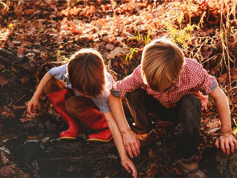 离福严原文注释译文赏析-黄庭坚诗词-宋诗全集