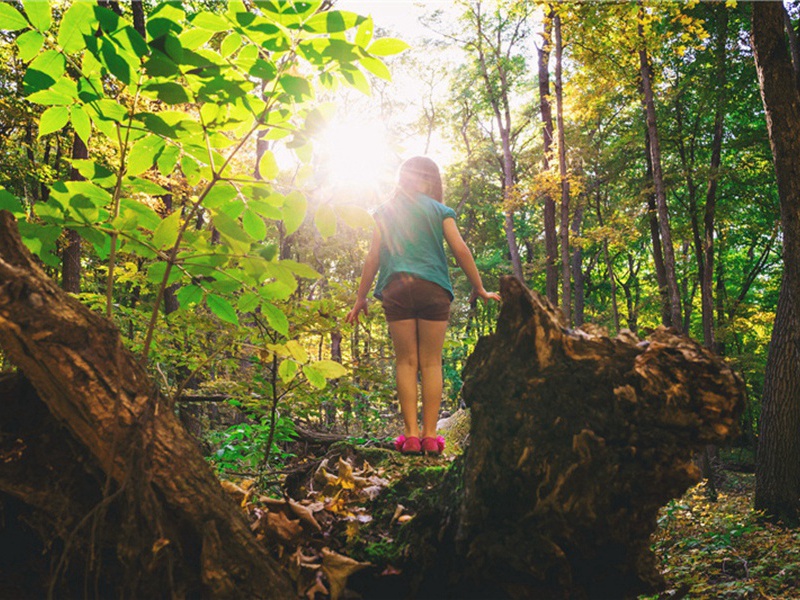 游曲水园和景仁原文注释译文赏析-韩维诗词-宋诗全集