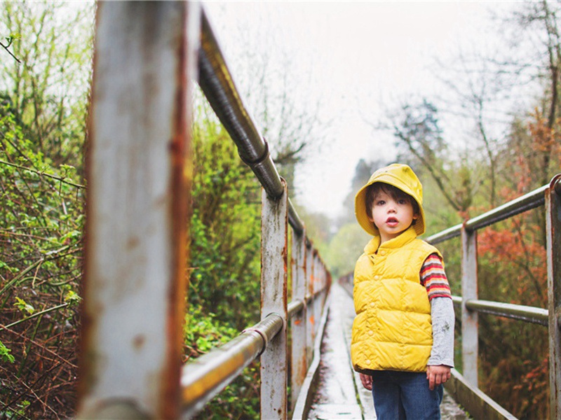 馆娃宫原文注释译文赏析-胡宿诗词-宋诗全集