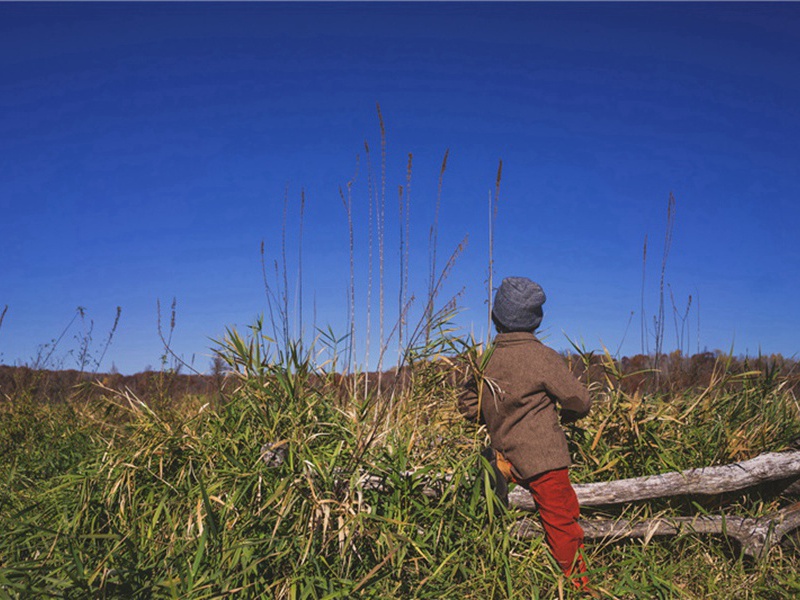 绍兴亲享明堂二十六首·昊天上帝位酌献用《庆安》。原文注释译文赏析-郊庙朝会歌辞诗词-宋诗全集