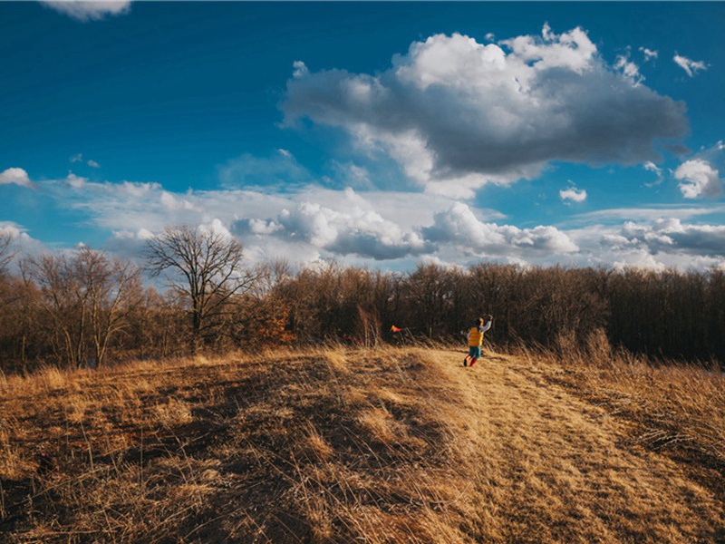 咸平亲郊八首·降神用《高安》。原文注释译文赏析-郊庙朝会歌辞诗词-宋诗全集
