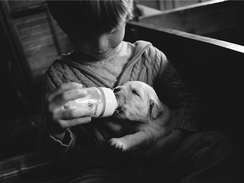 和士曹曹文林省题九龙岩原文注释译文赏析-黄朝散诗词-宋诗全集