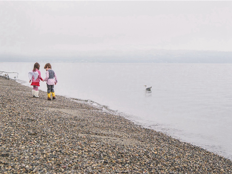 杂兴四首·其四原文注释译文赏析-李纲诗词-宋诗全集