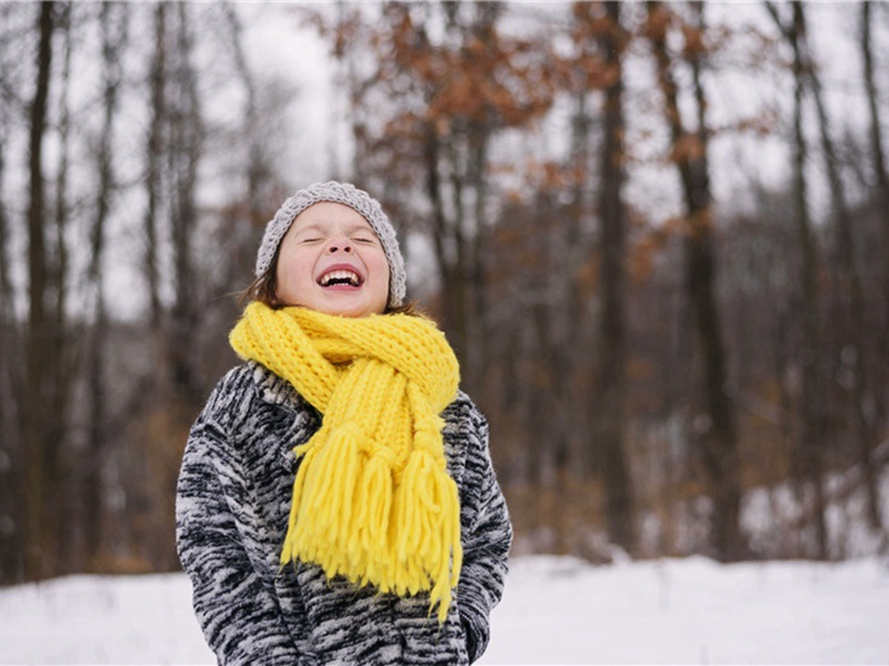 学诗原文注释译文赏析-高斯得诗词-宋诗全集