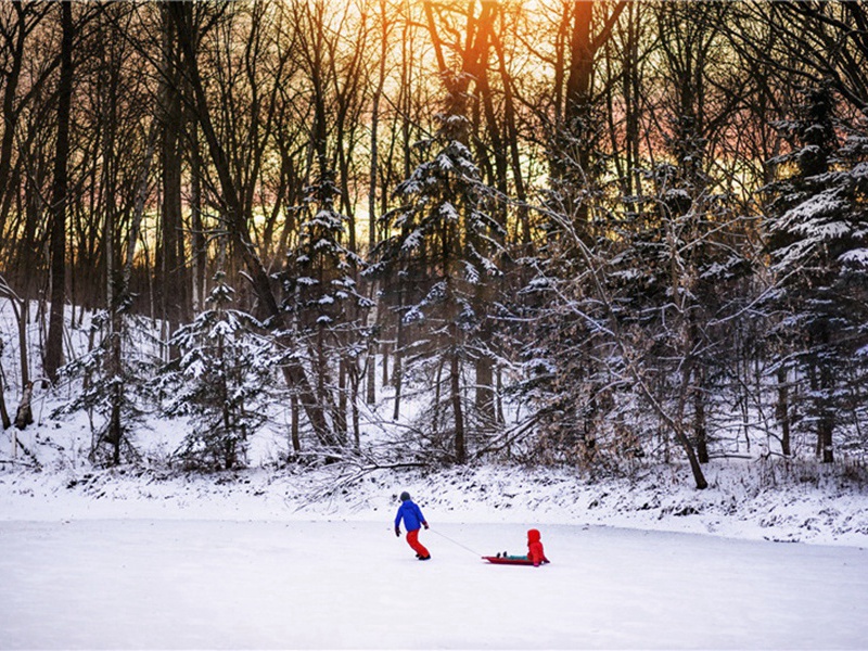 次韵赠道士汪庭芝二首·其二原文注释译文赏析-方回诗词-宋诗全集