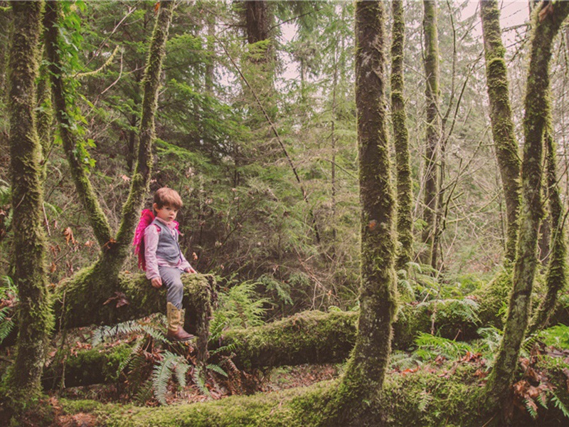 雪花梅原文注释译文赏析-方蒙仲诗词-宋诗全集
