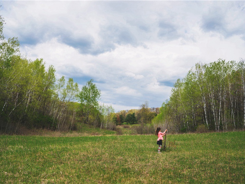 次韵谢魏公辅二首·其二原文注释译文赏析-方回诗词-宋诗全集