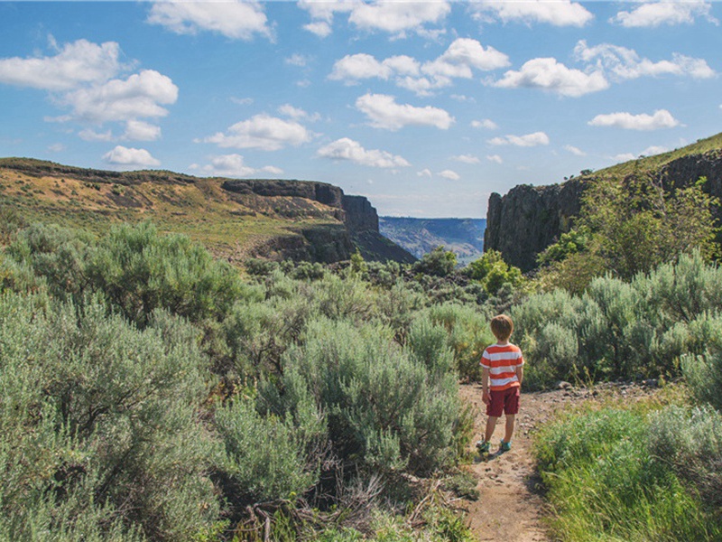 何塘精舍原文注释译文赏析-刘弇诗词-宋诗全集