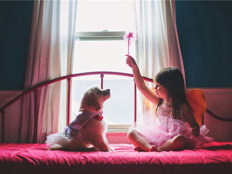 送毕彦祖先之京师原文注释译文赏析-贺铸诗词-宋诗全集