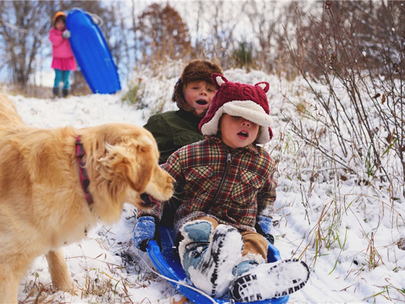 敦好轩原文注释译文赏析-李彭诗词-宋诗全集