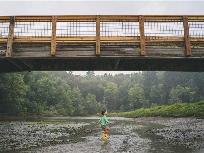 寄呈吕道山于八桂原文注释译文赏析-方回诗词-宋诗全集
