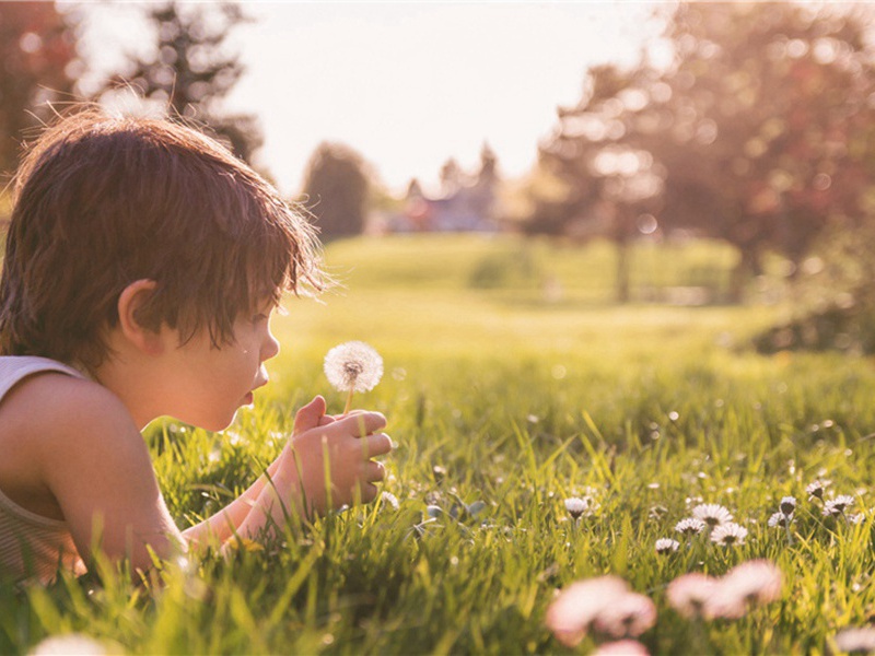 初三日急雨湖山云气初霁楼居佳甚原文注释译文赏析-韩淲诗词-宋诗全集