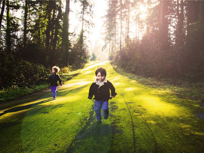 知府丈袖赐新篇愈叹精奇勉缀俚辞干览采原文注释译文赏析-李壁诗词-宋诗全集