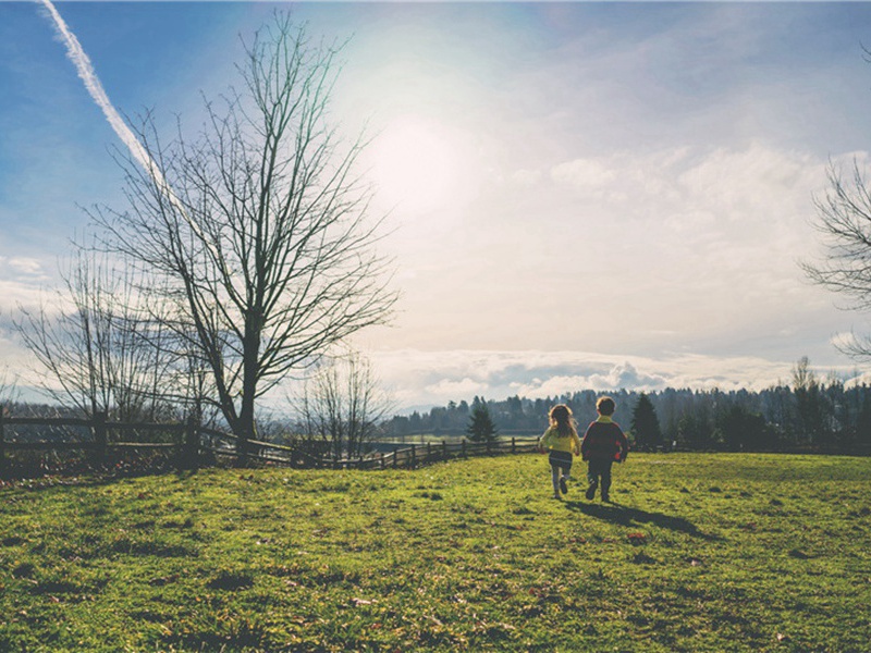 耳聩二首·其一原文注释译文赏析-陆文圭诗词-宋诗全集