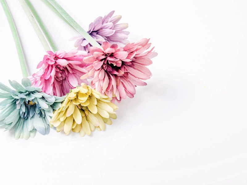 次韵屏翁观梅原文注释译文赏析-戴昺诗词-宋诗全集