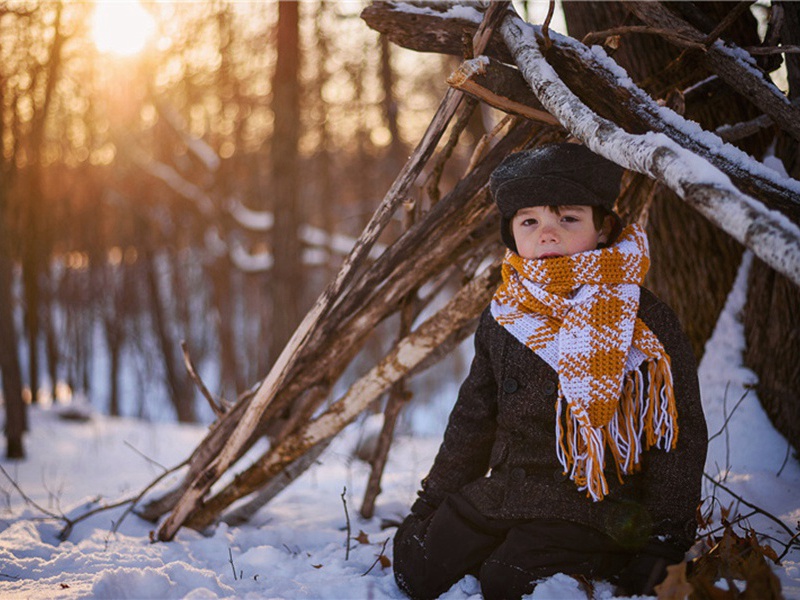 楚怀王原文注释译文赏析-洪适诗词-宋诗全集