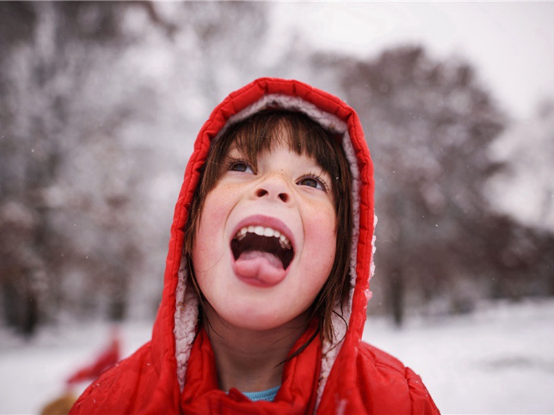 南征二首·其一原文注释译文赏析-刘攽诗词-宋诗全集