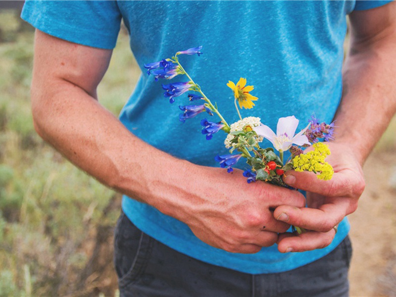 题朱直学竹轩原文注释译文赏析-韩淲诗词-宋诗全集