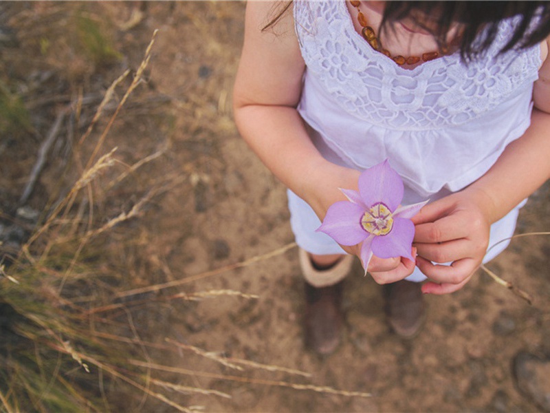 送伸仲归漆塘以语及君臣际经书满腹中为韵十首·其七原文注释译文赏析-葛胜仲诗词-宋诗全集