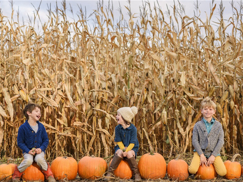 山中之乐三章送徐明叟胡直内苏德翁归严濑并寄夏自然·其一原文注释译文赏析-方回诗词-宋诗全集