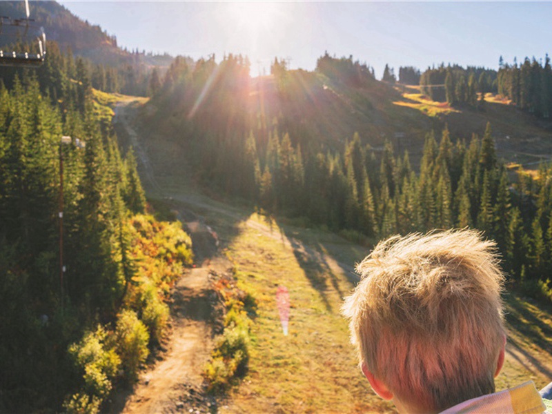 自咏绝句八首·其二原文注释译文赏析-陆游诗词-宋诗全集