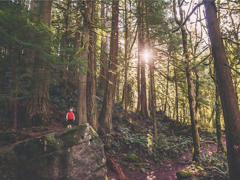 周原文注释译文赏析-方回诗词-宋诗全集
