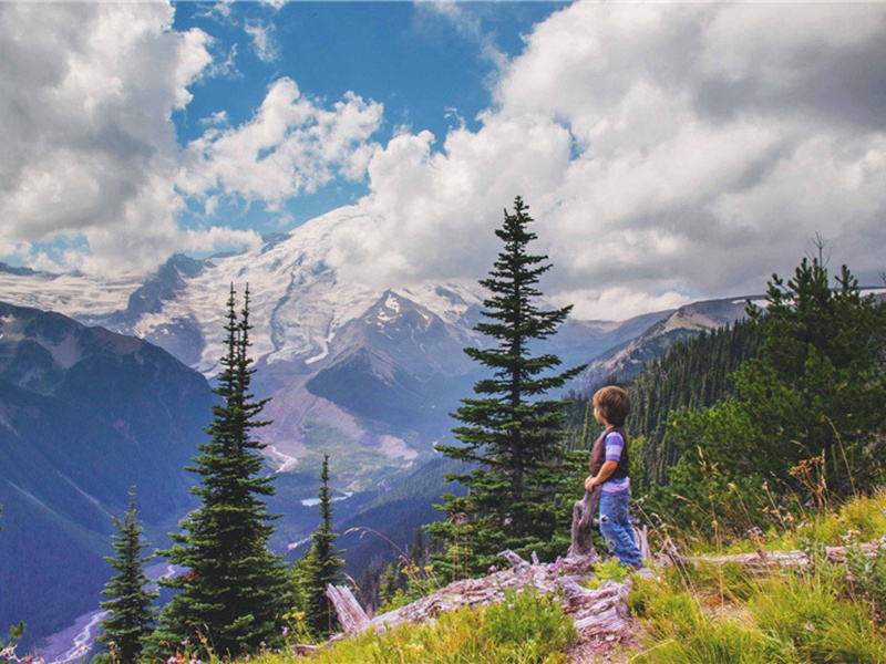 昙花亭供茶戏作二首·其二原文注释译文赏析-韩元吉诗词-宋诗全集