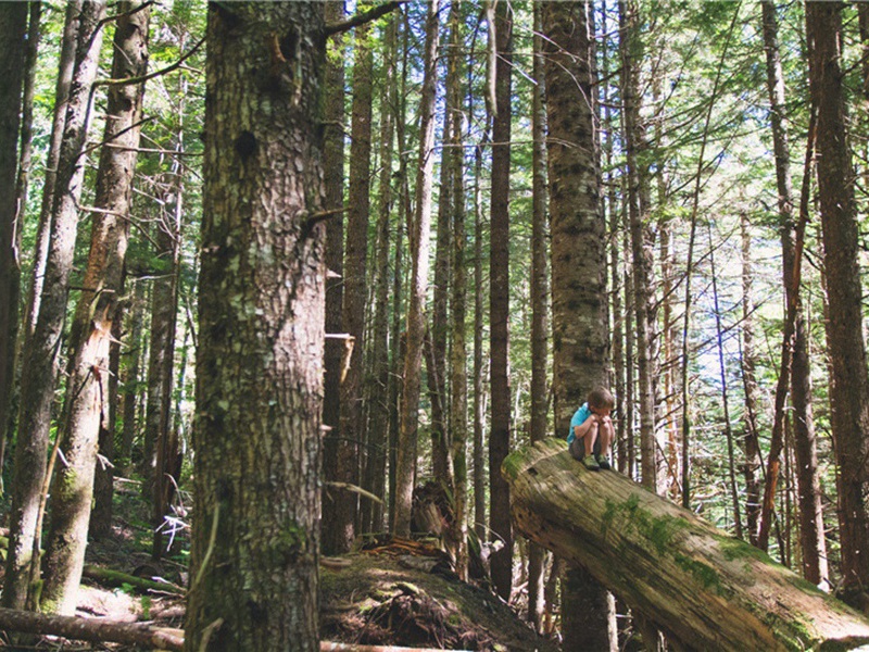 宿侍其云叟书斋原文注释译文赏析-李彭诗词-宋诗全集