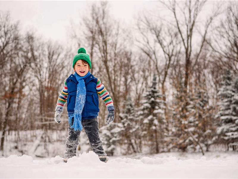 罗浮飞云顶原文注释译文赏析-李昴英诗词-宋诗全集