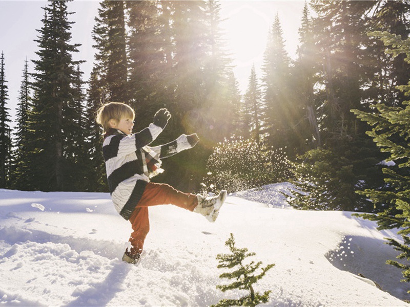李成德求乃翁挽诗原文注释译文赏析-李彭诗词-宋诗全集