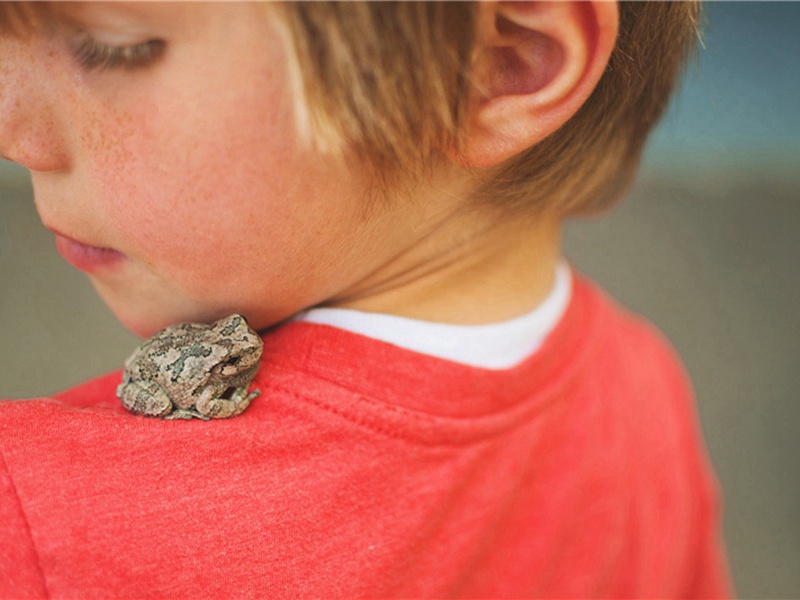 送张明远归丹阳原文注释译文赏析-金君卿诗词-宋诗全集