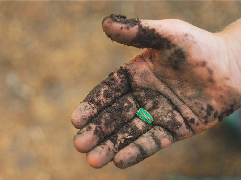 和杨公济钱塘西湖百题·十三间楼原文注释译文赏析-郭祥正诗词-宋诗全集