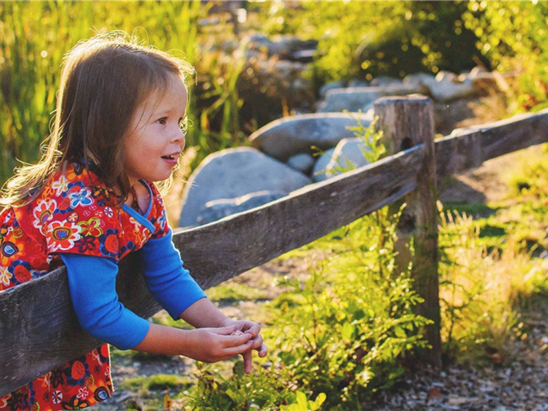 城西二首·其二原文注释译文赏析-韩维诗词-宋诗全集