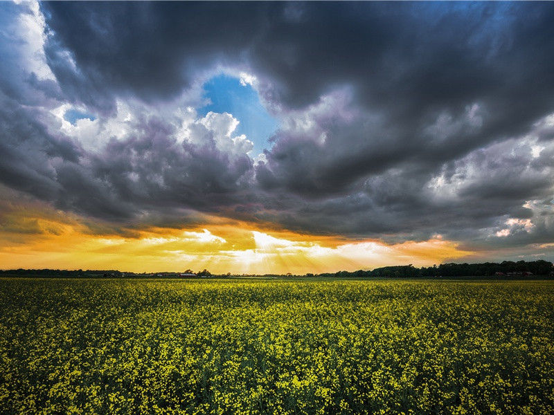 次韵答陈梦锡十首·其三原文注释译文赏析-陈造诗词-宋诗全集