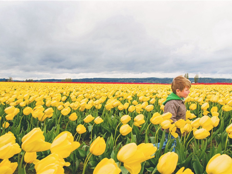 绍兴祀太社太稷十七首·望瘗用《正安》。原文注释译文赏析-郊庙朝会歌辞诗词-宋诗全集