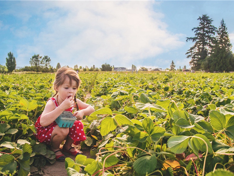 知府孙学士见示和终南监宫太保道怀五首因以缀篇·其二原文注释译文赏析-范仲淹诗词-宋诗全集