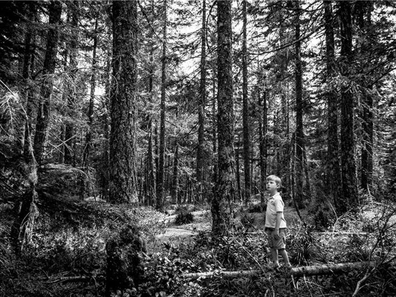 题绦帐图原文注释译文赏析-韩驹诗词-宋诗全集