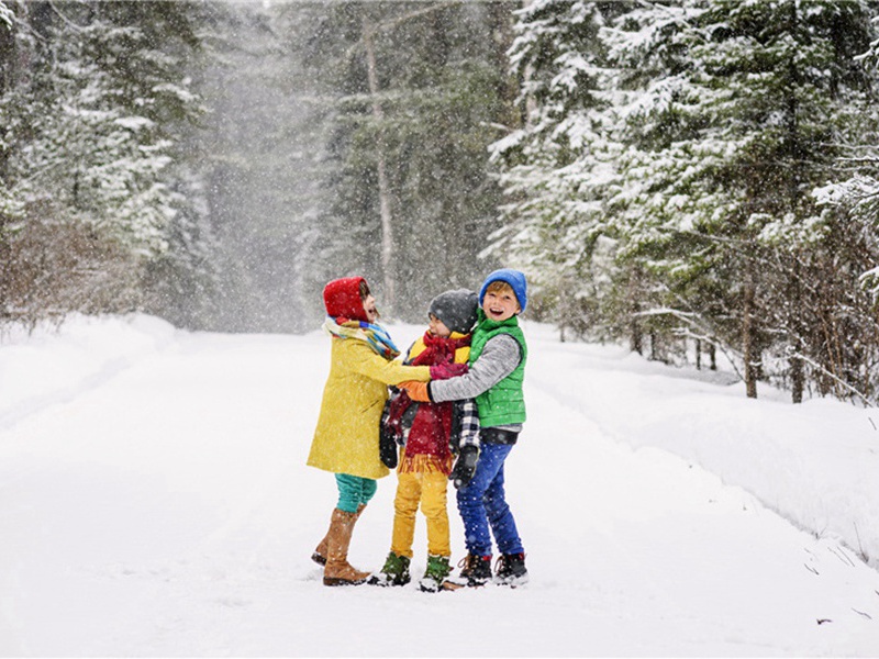 赠地理张松溪原文注释译文赏析-何梦桂诗词-宋诗全集