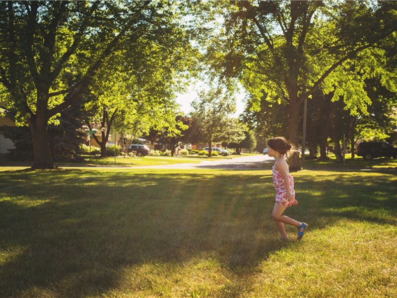 喜雨原文注释译文赏析-陆游诗词-宋诗全集