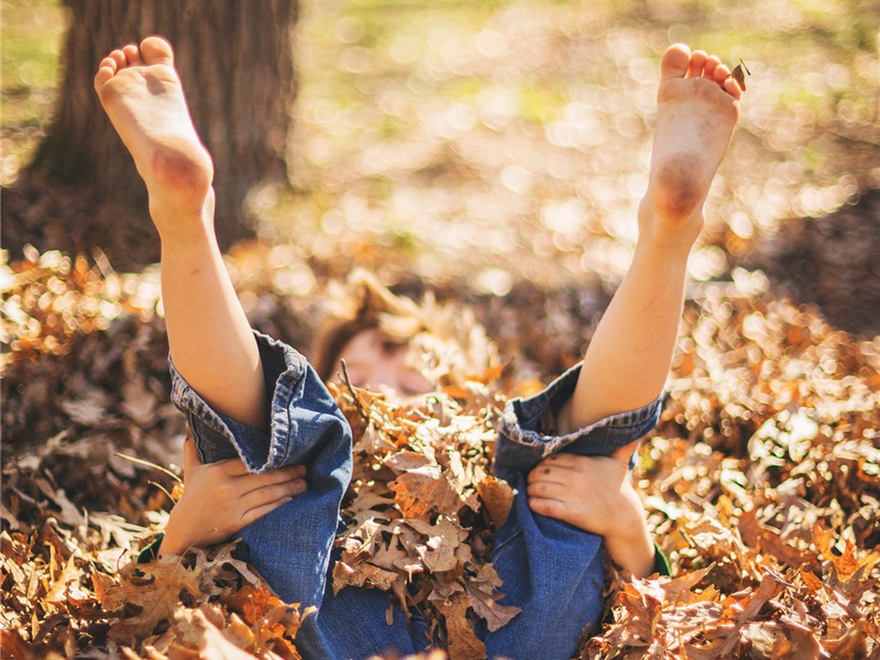 读秦本纪原文注释译文赏析-洪适诗词-宋诗全集