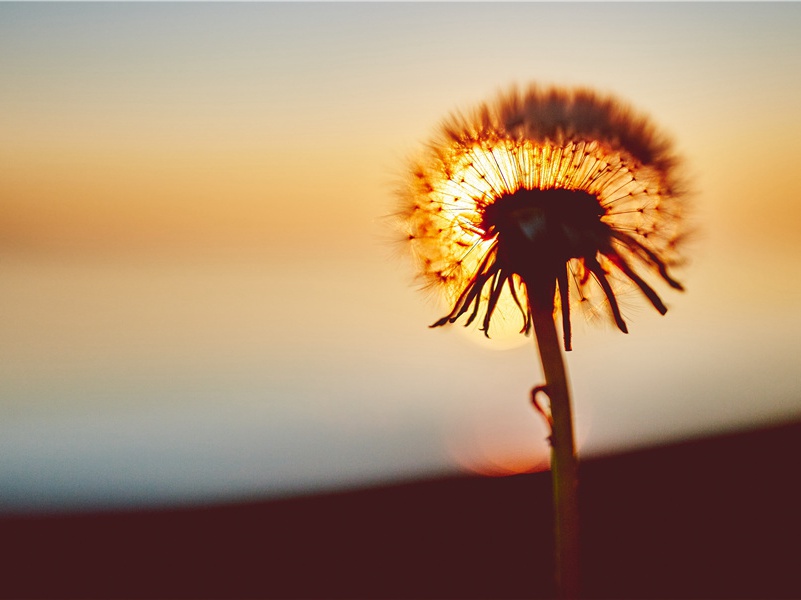 和同官问耳疾六首·其一原文注释译文赏析-曹勋诗词-宋诗全集