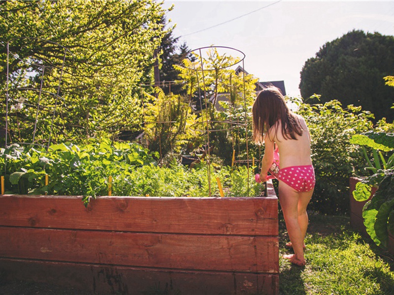 巾山广轩原文注释译文赏析-葛闳诗词-宋诗全集