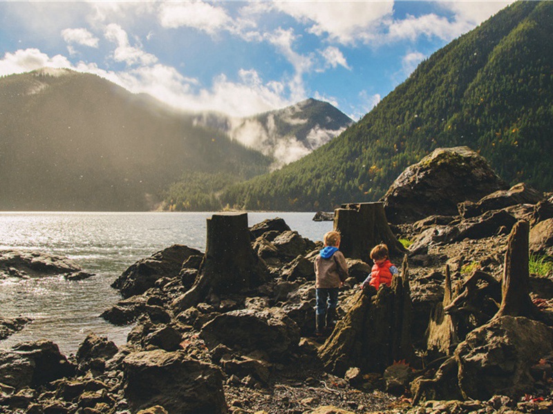 和景严送方蒂柿原文注释译文赏析-洪适诗词-宋诗全集
